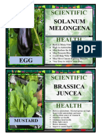 Solanum Melongena: Scientific