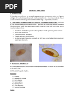 Test de Graham y Escobillado Anal | PDF | Parasitología