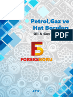 Petrol Ve Gaz Boruları