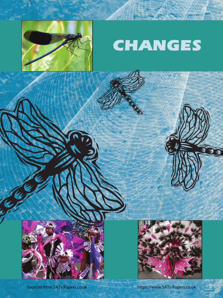 Year 5 optional 2006 english reading booklet pdf dragonfly carnival