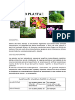 Investigacion de Las Plantas