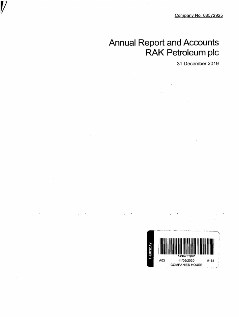 2019 Annual Report and Accounts PDF