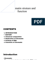 Chromatin and Structure