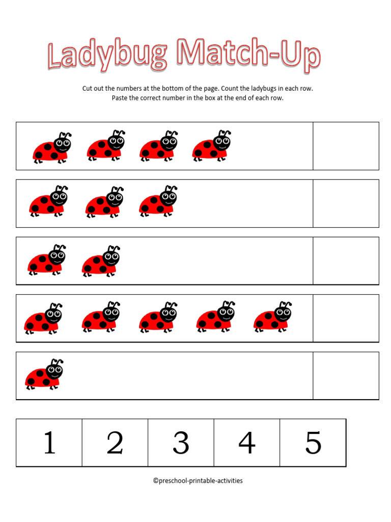 Worksheet Ladybug Match | PDF