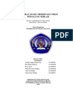 Laporan Hasil Observasi Umkm