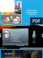 Natural Gas Properties