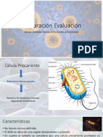 Repaso Evaluación