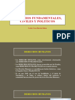 Derechos Fundamentales