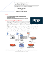 Scaffold Lab 3-Particle Leaching