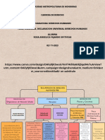 Diagrama, Declaracion de Derechos Humanos