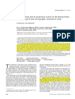 Fernandez-Miranda JC. 2008 - The Claustrum and Its Projection System in The Human Brain