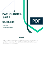 PAM 2013 - Common Pathologies - Part 1 - S