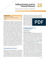 Scaffolding Proteins and Ion Channel Diseases: Ravi Vaidyanathan and Jonathan C. Makielski