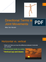 Joint Movements and Classifications