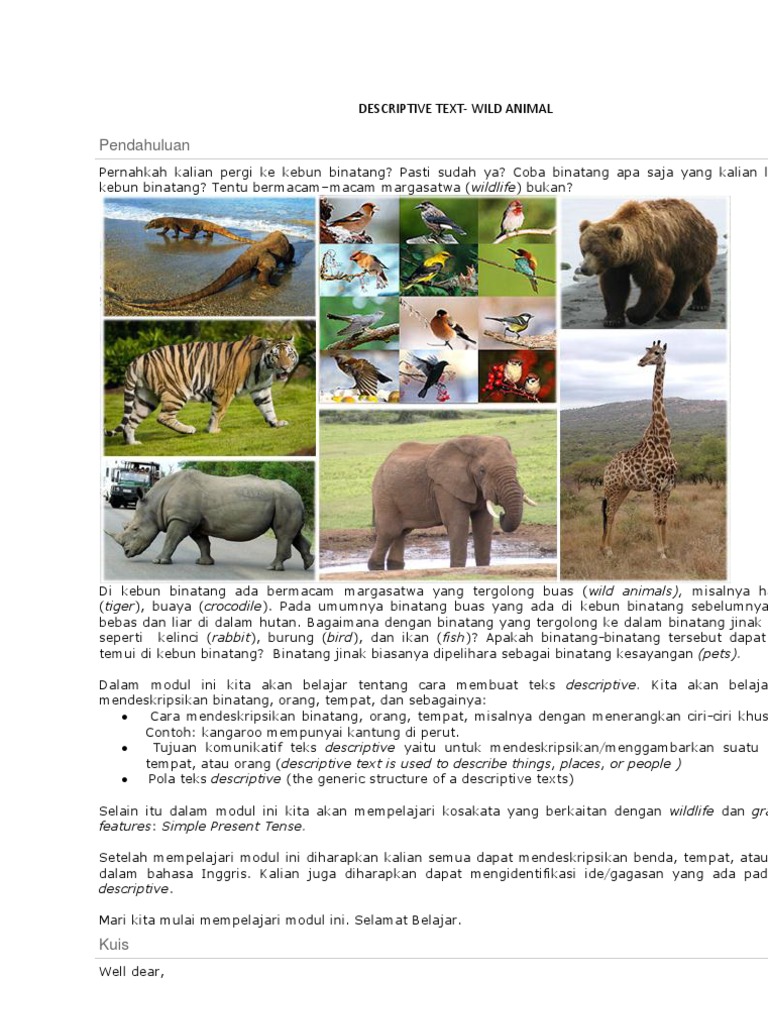 contoh soal descriptive text animal essay