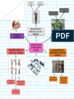 Mapa Mental - FW