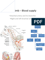 Fore Limb - Blood Supply