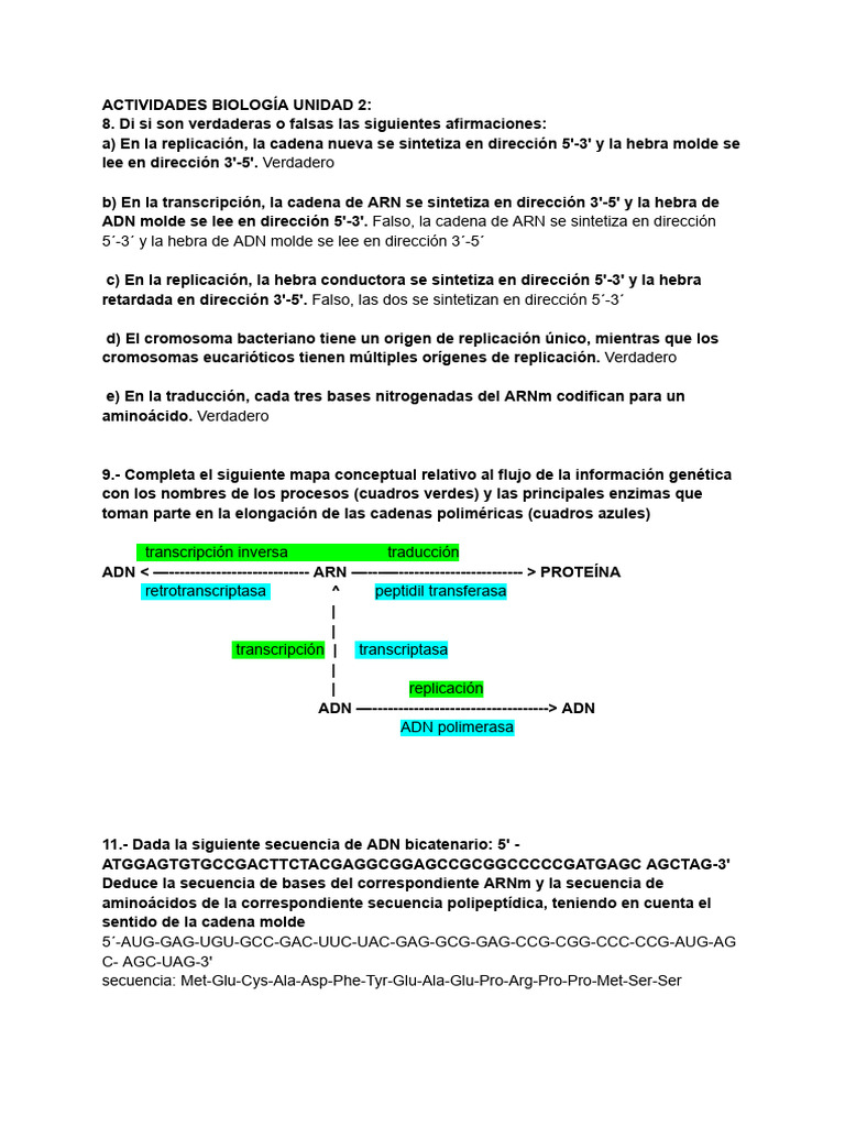 Actividades de BM Unidad 2 | PDF | Adn | Replicación De Adn