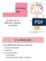 SN 3 Voies Motrices