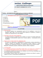 Ana M - Grado 4 - Clase 5 - Fenomenos Que Afectan La Canasta Familiar - 2 Periodo