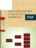 Macrotransporte