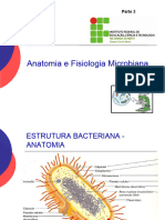 3 ANATOMIA E FISIOLOGIA MICROBIANA