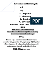 Rodzaje Kwasów Nukleinowych