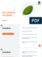 Mercado de Créditos de Carbono No Brasil - Módulo 1