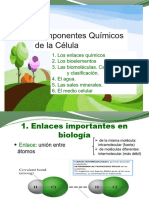 Tema 1 Bio 2 Bac Composicion Celular