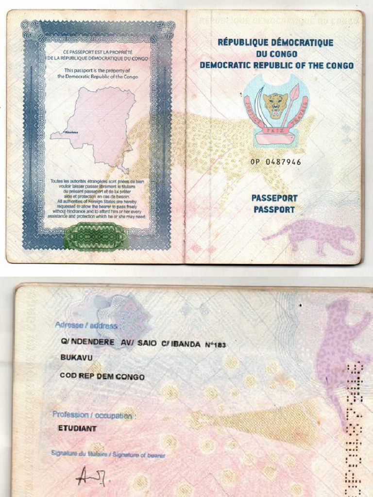 Passport Scan | PDF