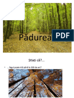 Padurea Curiozitati