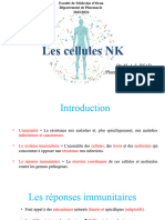 4-NK Cells