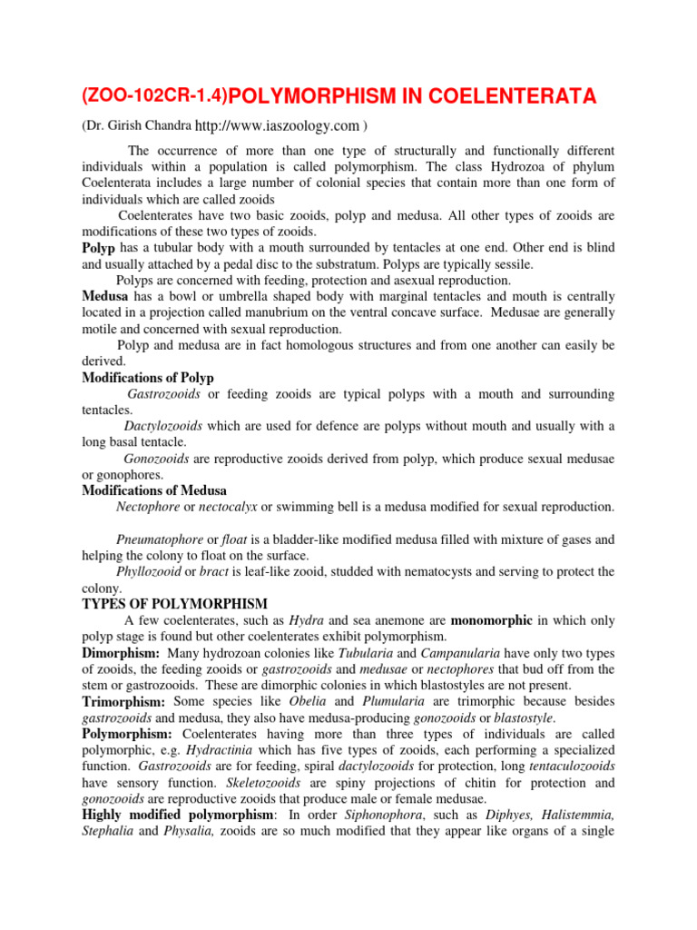 Polymorphism in Coelenterates Explained | PDF | Aquatic Animals ...