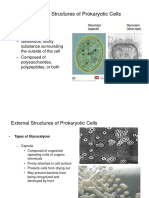 2420 Procaryotic and Eucaryotic Cellular Structure 083110