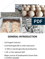 Introduction To Poultry-Industry-in-Pakistan