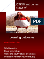 Poultry 1