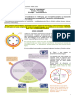 Guia 7 Biologia Segundo Medio