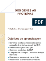 Aula 3 - Dos Genes Às Proteínas