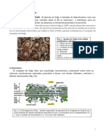 4.2. ENDOMEMBRANAS - El Complejo de Golgi