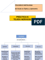 Practica 6 Cito Histo 2021-22