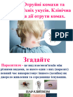 ОТруйні комахи