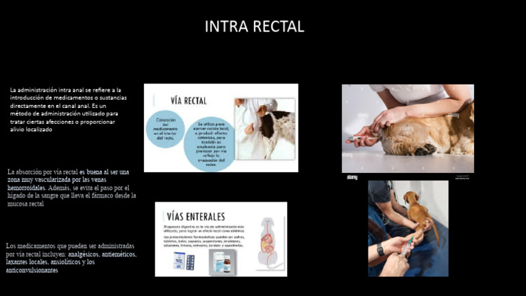 Presentación Intra Rectal Efren | PDF