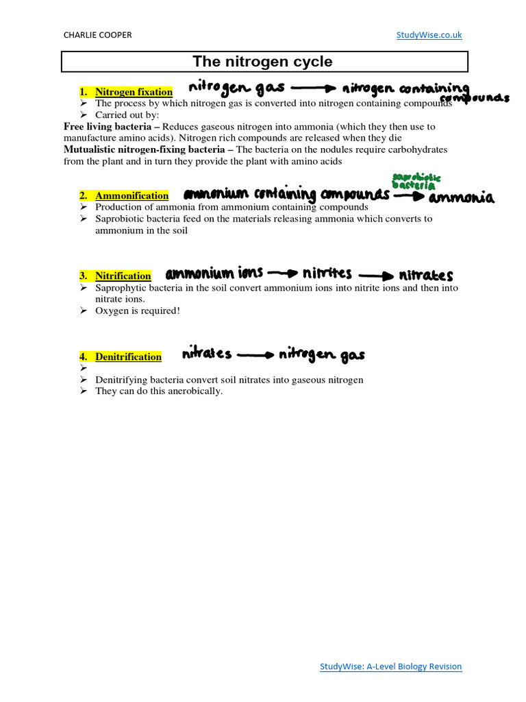 5.nutrient Cycles PDF Physical Geography Systems Ecology
