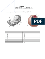 Chapter 2 Unit 2.1 and 2.3 Worksheet