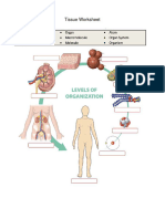 Tissue Worksheet