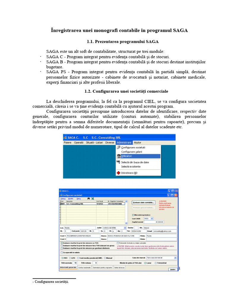 Proiect Sisteme Informatice SAGA | PDF