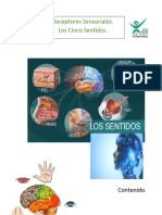 Portada de La Practica