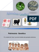 Biol 2 Património Genético