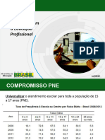 4 Nilva Schoeder Setec-Mec Apresenta Comissao Educacao Setec