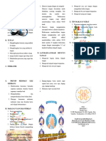 LEAFLET Cuci Tangan Jadi